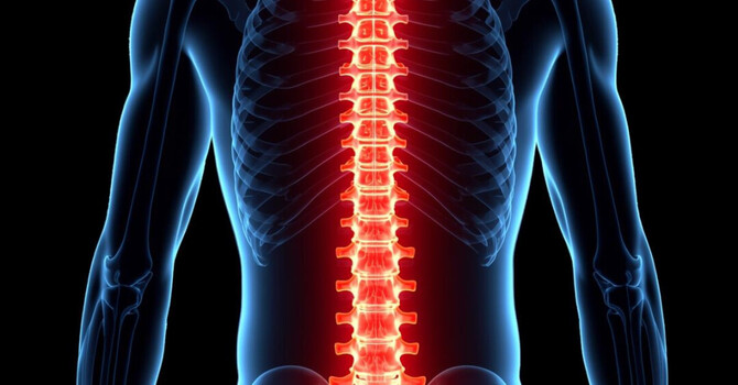 Back Pain